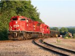 CP 7052